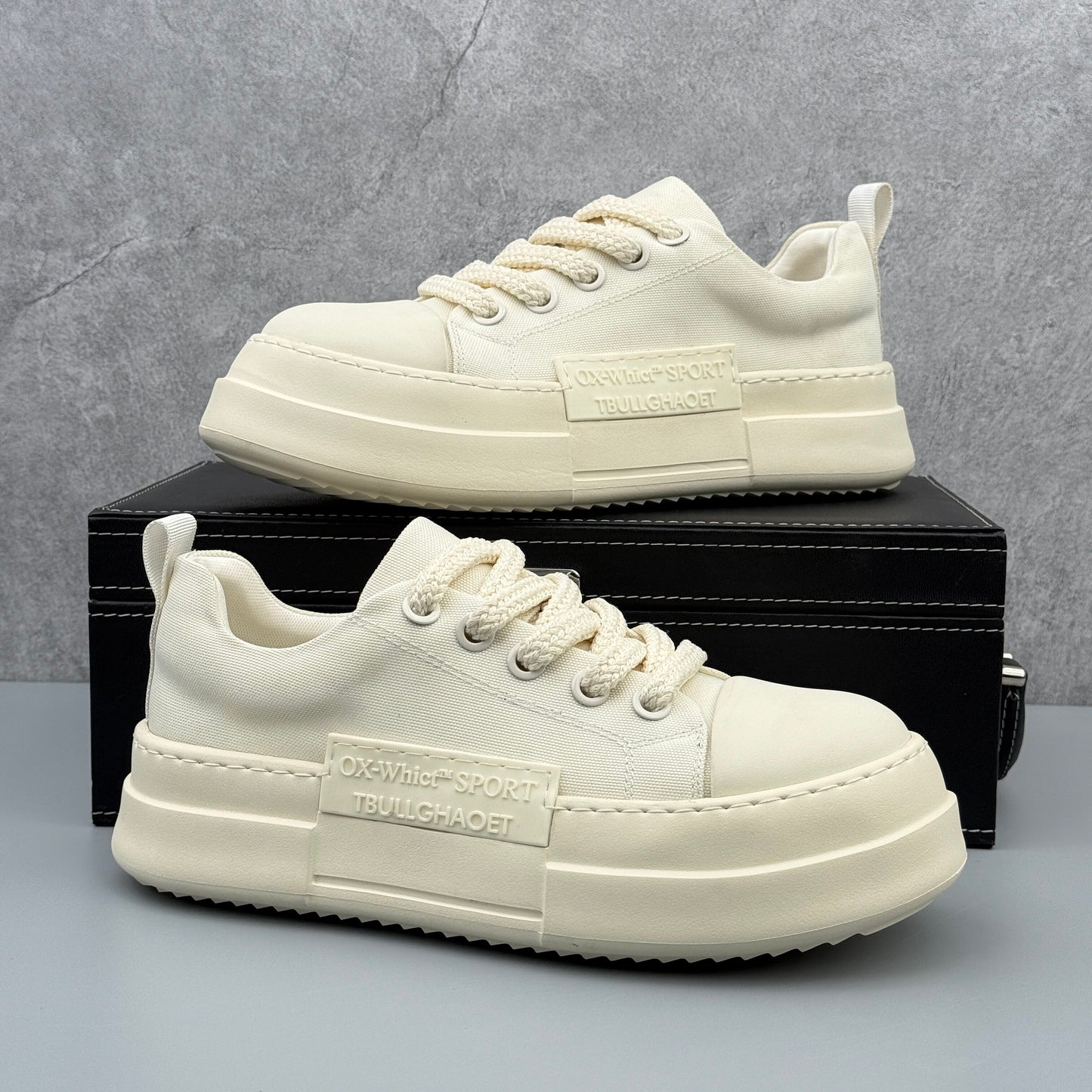 Hybriss ROVER-X Canvas Platform